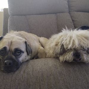 Meet your Posher, Lourdes